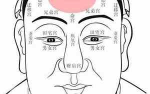 凤颈面相图像