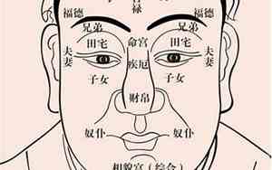 像猴子的人面相特征