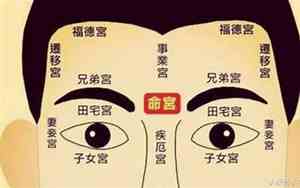 兄弟田宅面相分析详解视频