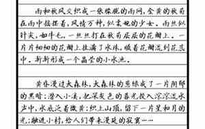 关于小书迷事例的句子或段落有哪些