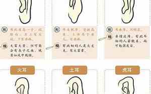 孩子耳朵大面相