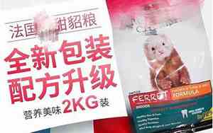 5千多买的貂是真的吗