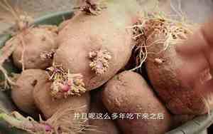 农村人一直吃发芽土豆会怎么样