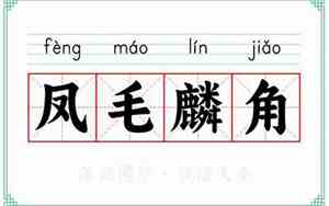 凤毛麟角意思解释