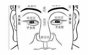 凌通易学