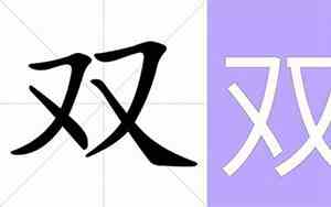 双的意思解释