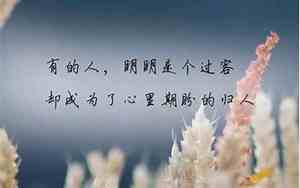 关于朋友真情的句子唯美