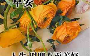 早安美好句子励志