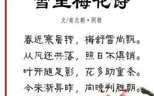 写春天梅花的句子优美段落