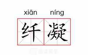 凝视是什么意思