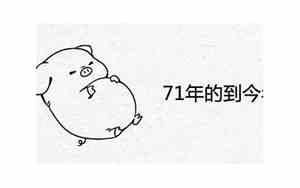 1971年多大属什么