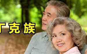 丁克族什么意思网络用语