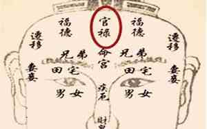 公公太勤快的面相怎么办