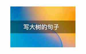 饱经风霜的大树写句子
