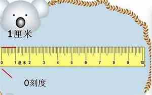 布料1码是多少厘米