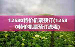 12580特价机票官方网站