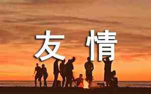 关于不看好友情的句子说说