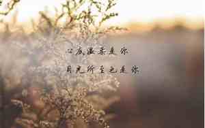 陪伴的感动句子说说心情