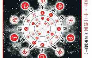 天干与地支的相互关系