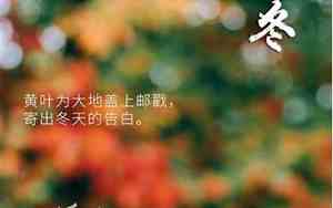 初冬的优美句子和段落有哪些